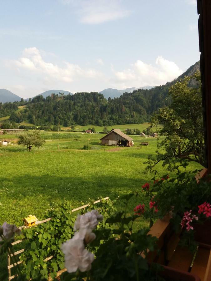 Apartmaji Bremec Bohinj Zewnętrze zdjęcie