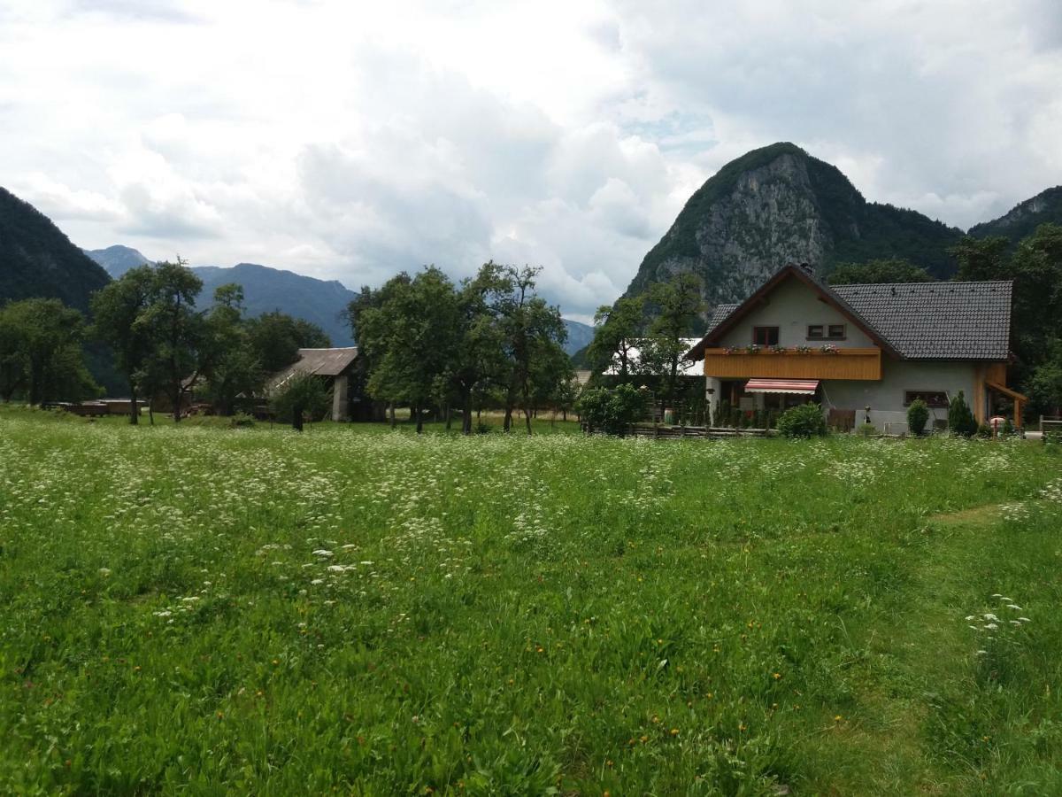 Apartmaji Bremec Bohinj Zewnętrze zdjęcie